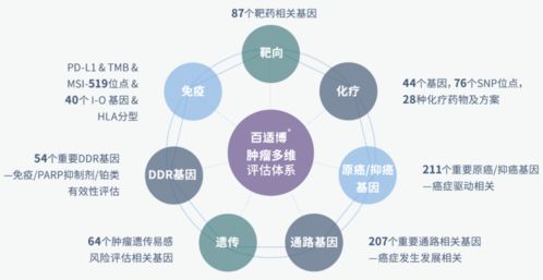 臻和科技獲超十億元E輪融資，加速腫瘤診斷產品研發及信息技術咨詢服務升級